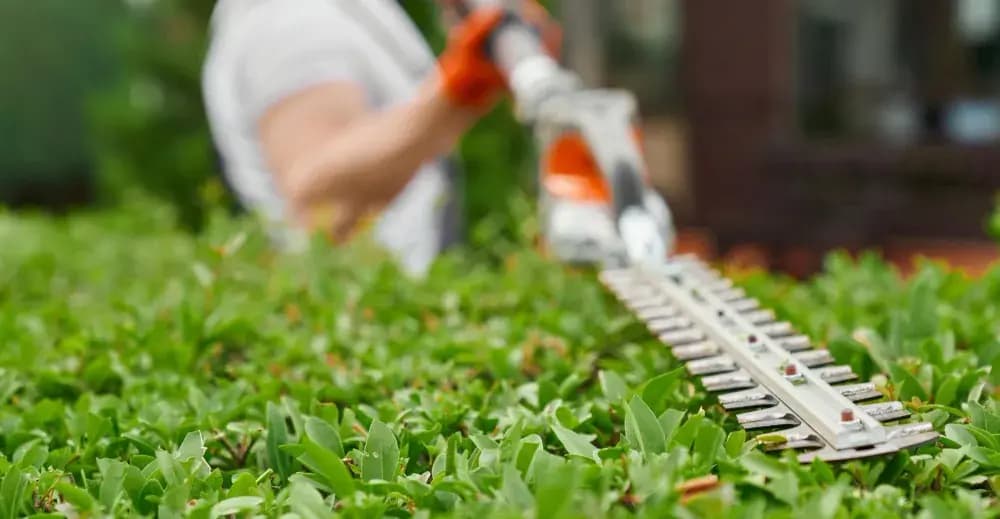 Sustainable landscaping practices