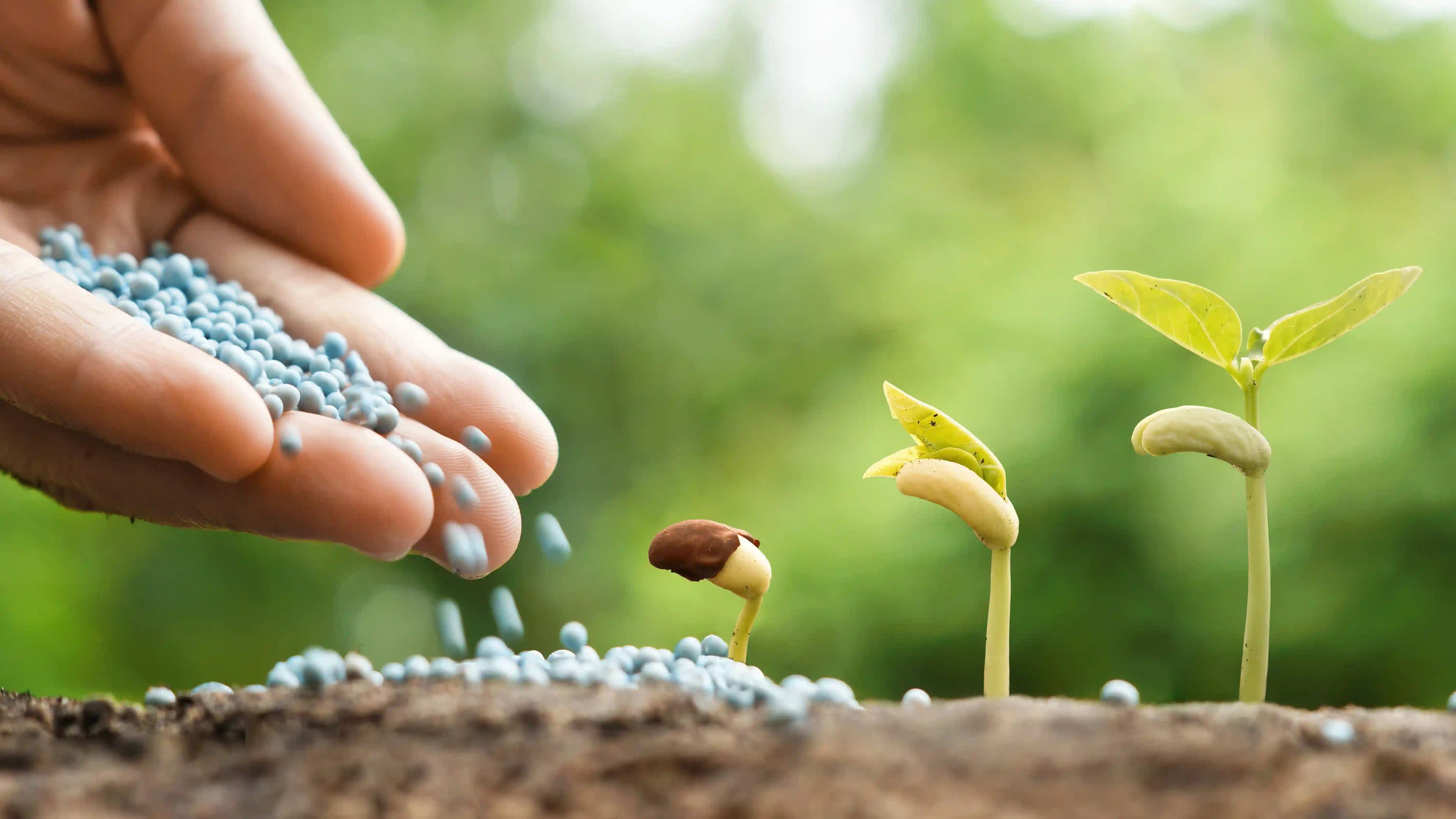 Fertilization & Nutrient Programs service