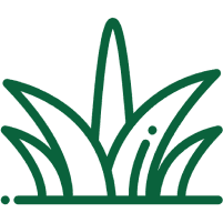 Customized Lawn Care Plan