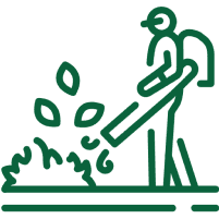 Service Execution & Quality Assurance