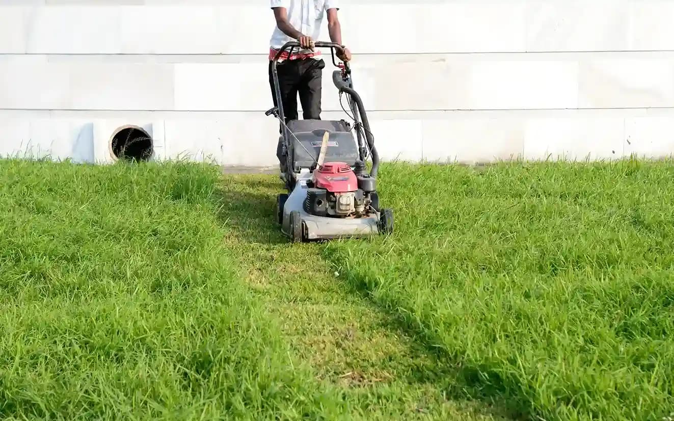 Lawn Maintenance & Mowing in Donner Peak Dr Reno