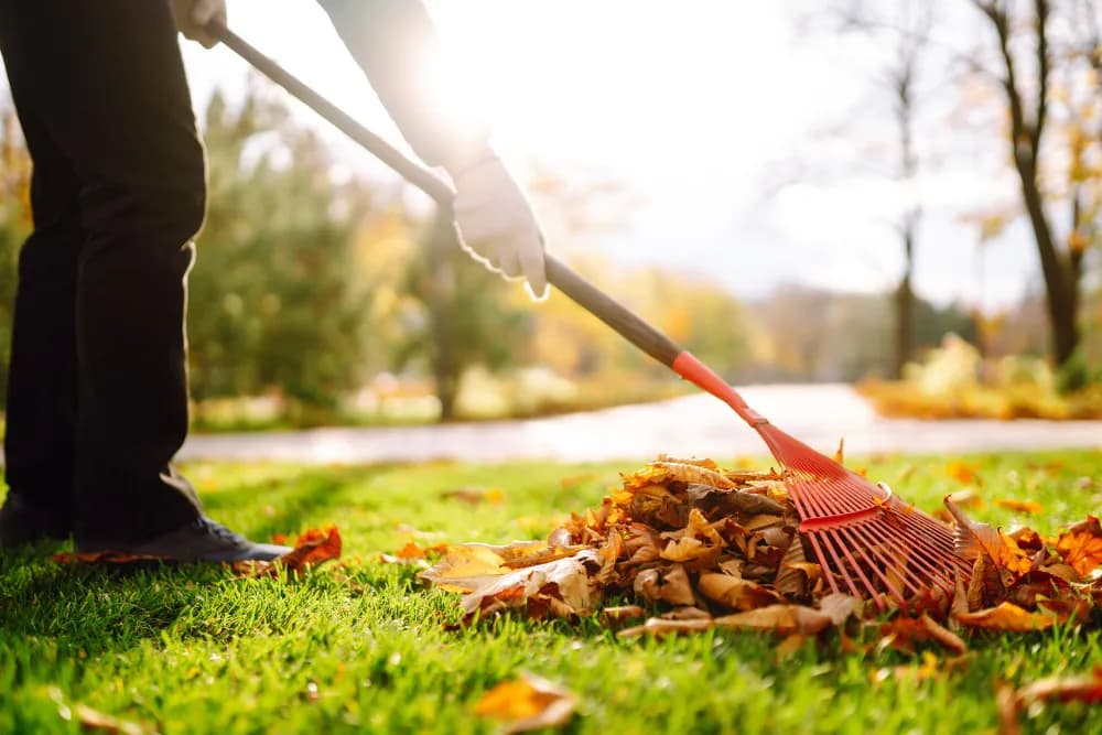 Seasonal Cleanups in Donner Peak Dr Reno