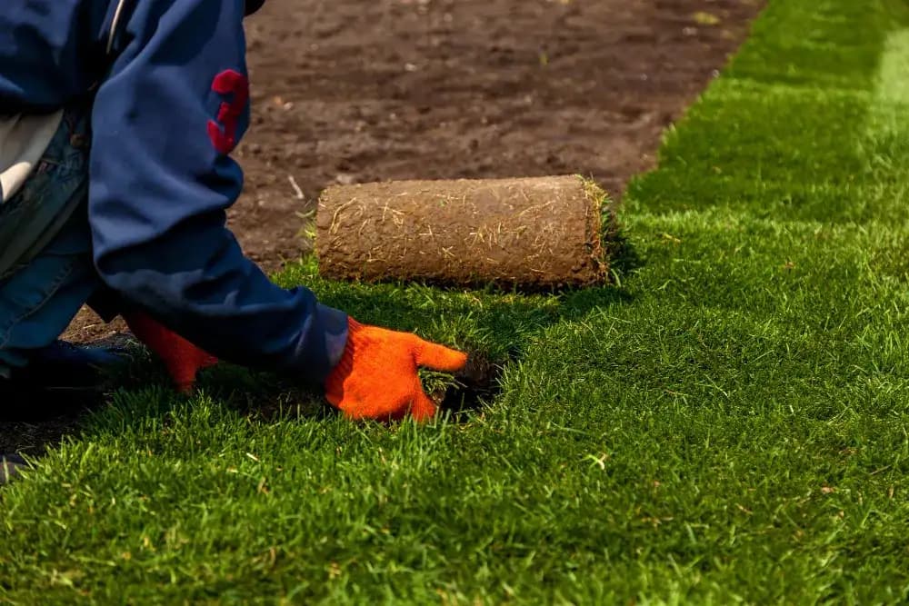 Sod Installation in Donner Peak Dr Reno