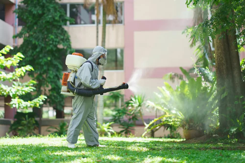 Weed & Insect Control in Donner Peak Dr Reno