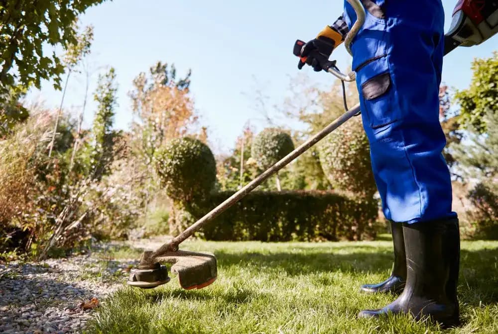 Lawn Maintenance & Mowing