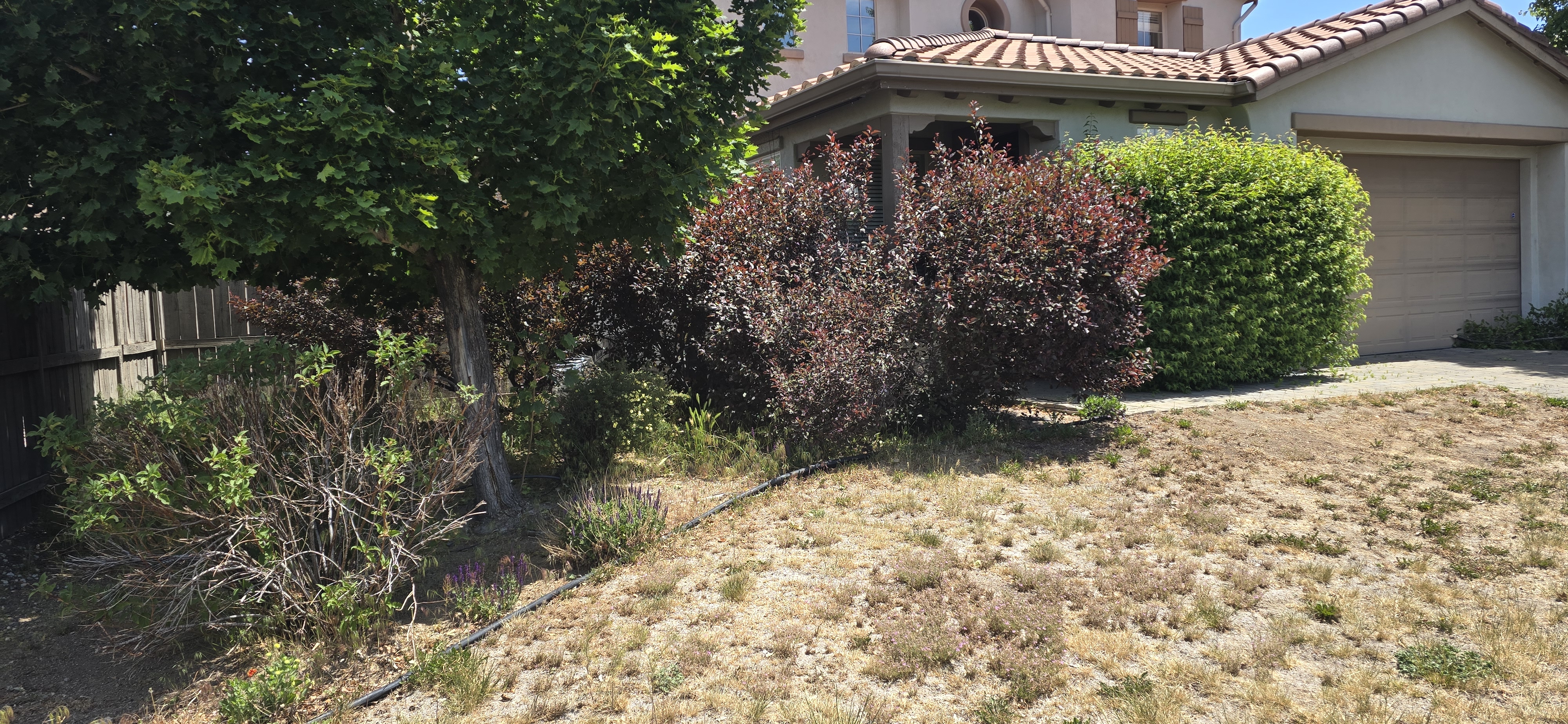 Before third cleanup