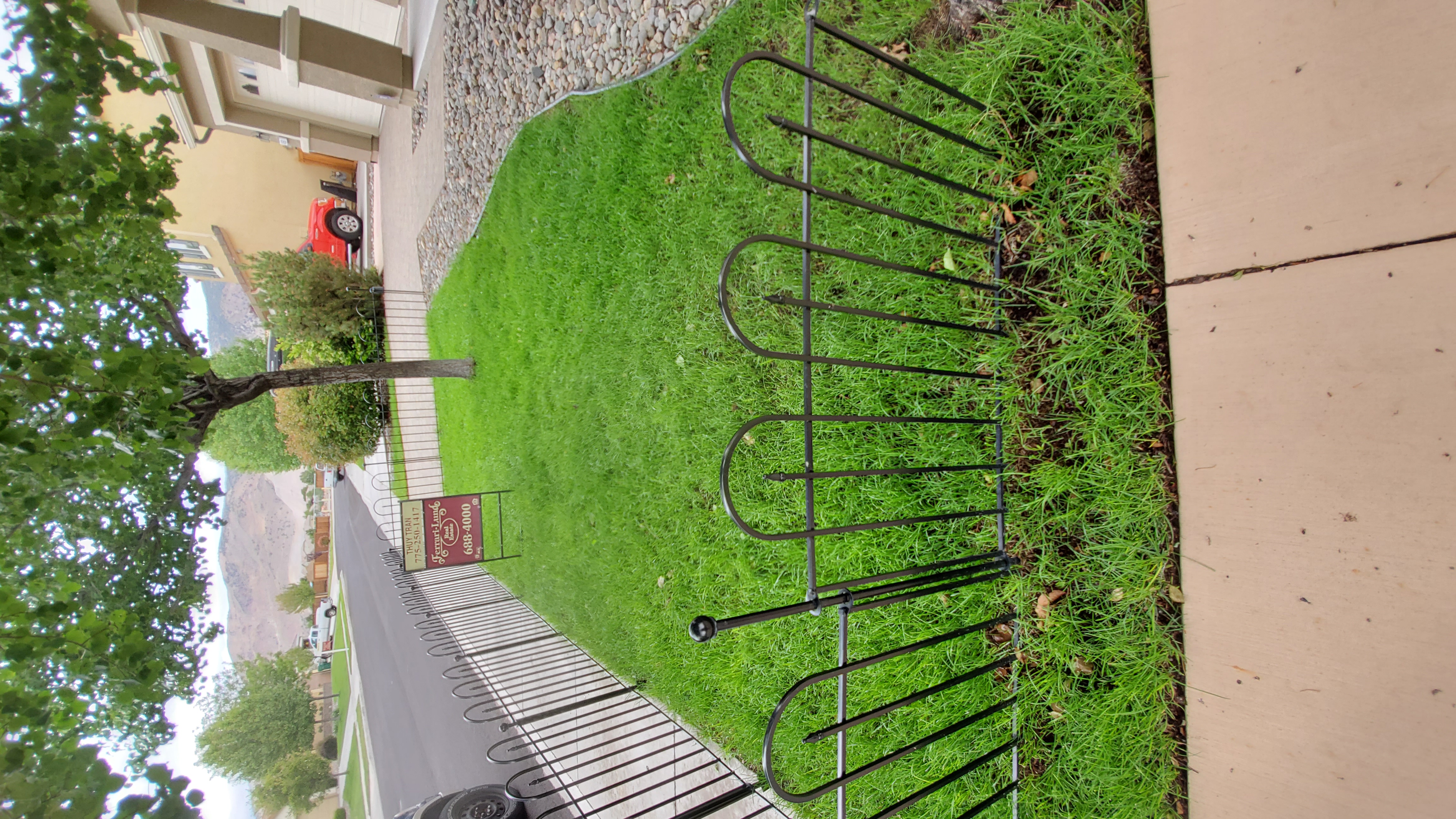 After lawn restoration