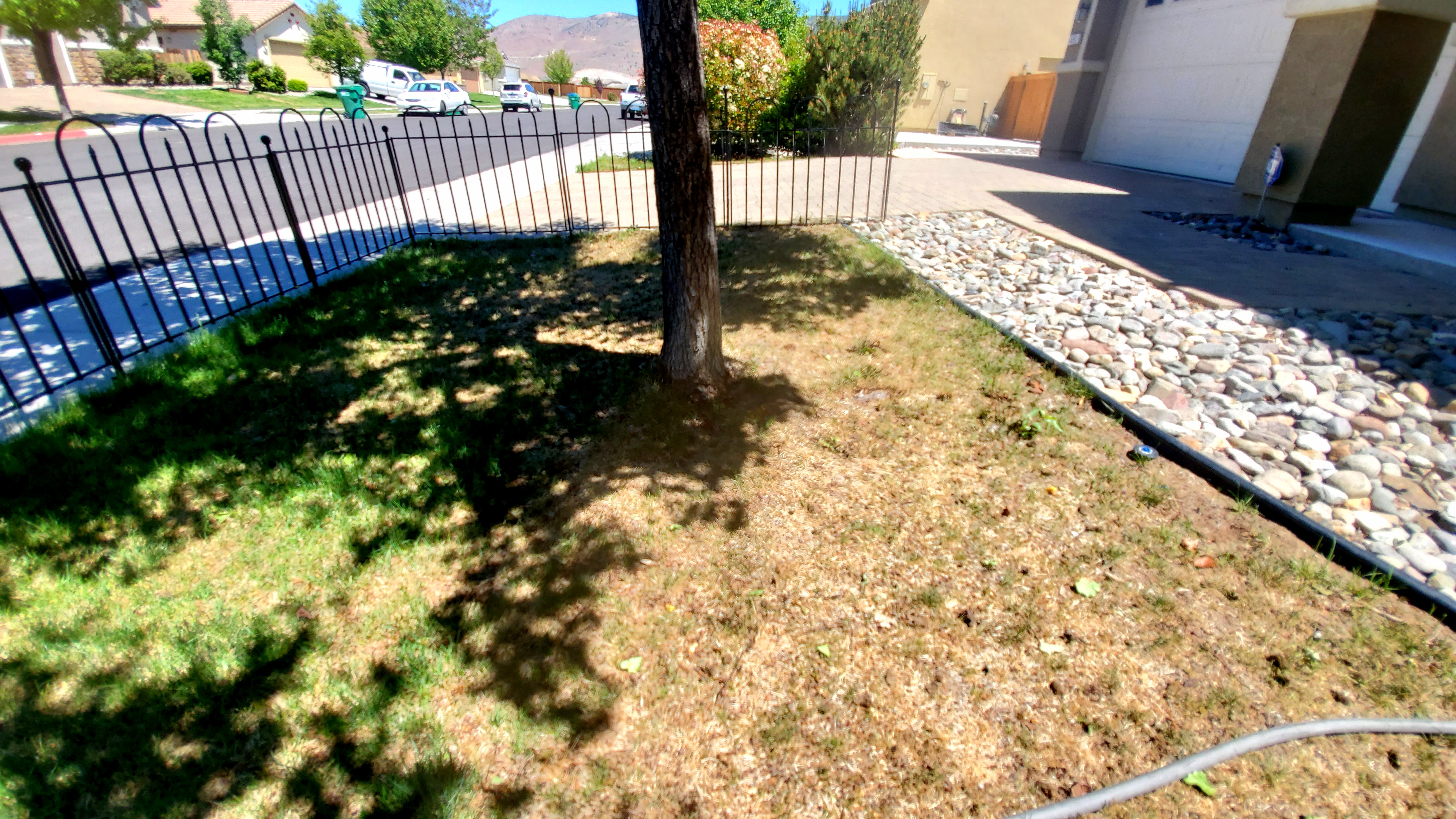 Before lawn restoration