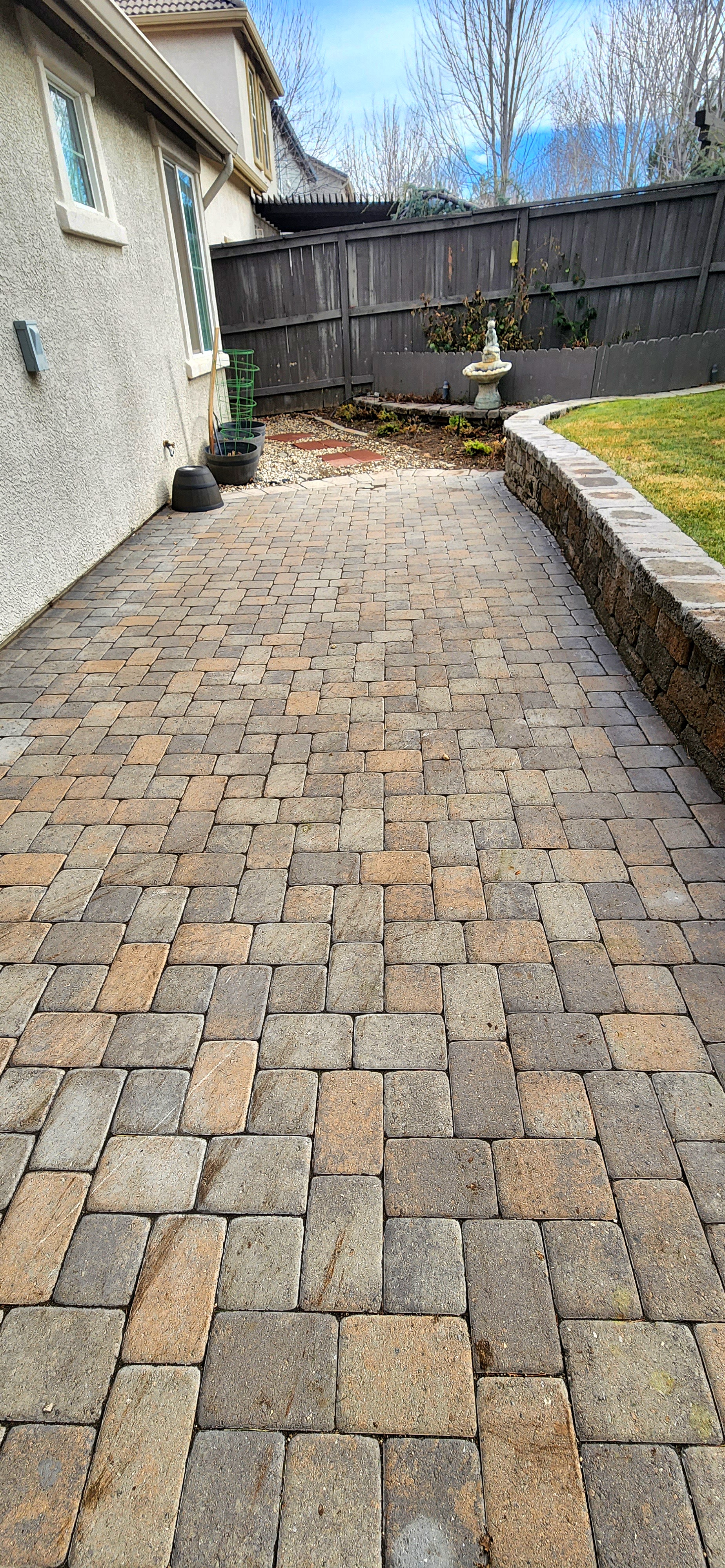 After leaf removal