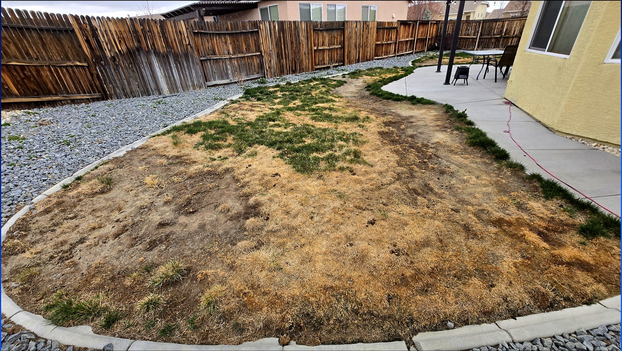 Before xeriscape installation