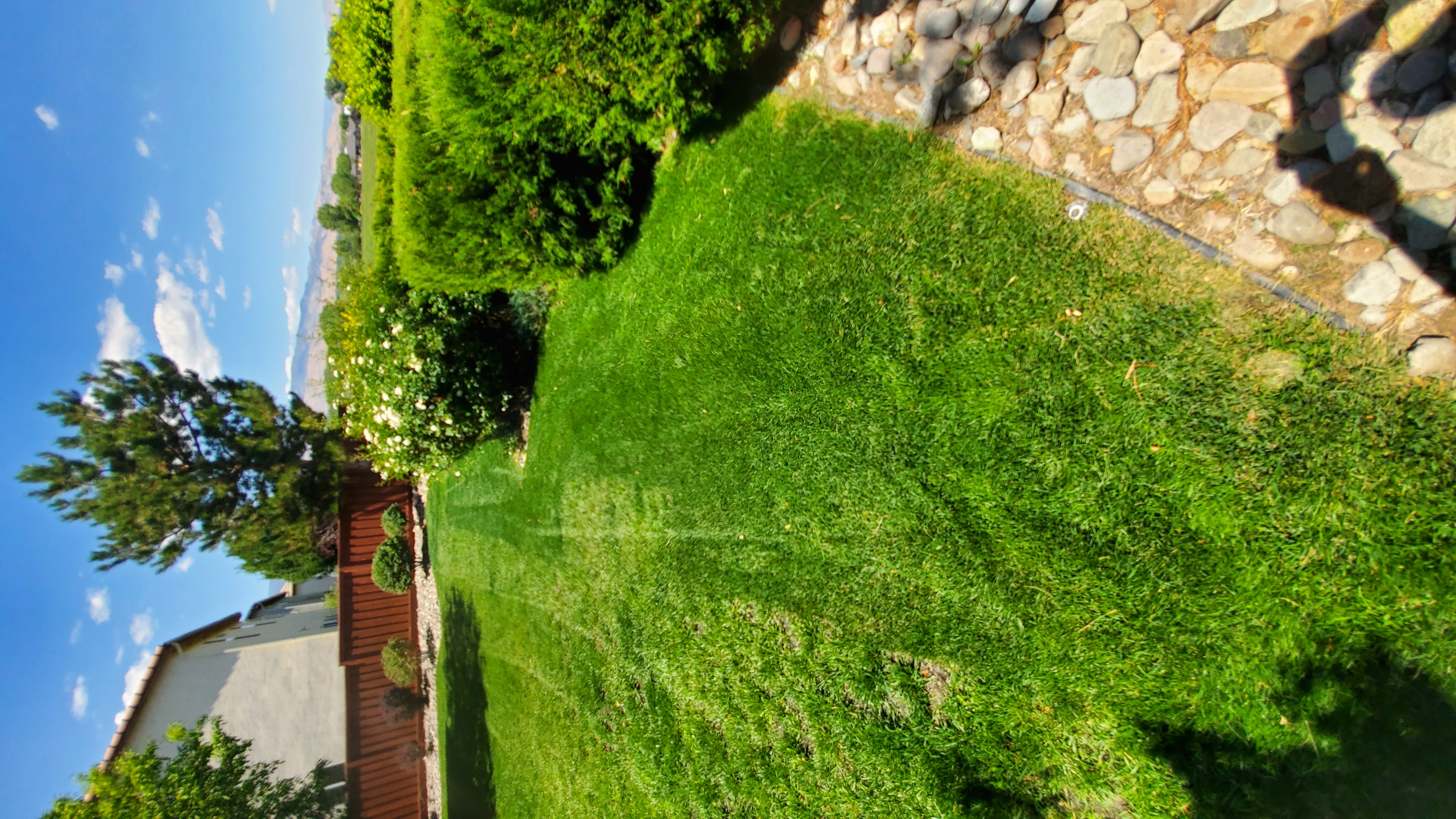 After partial lawn sod installation