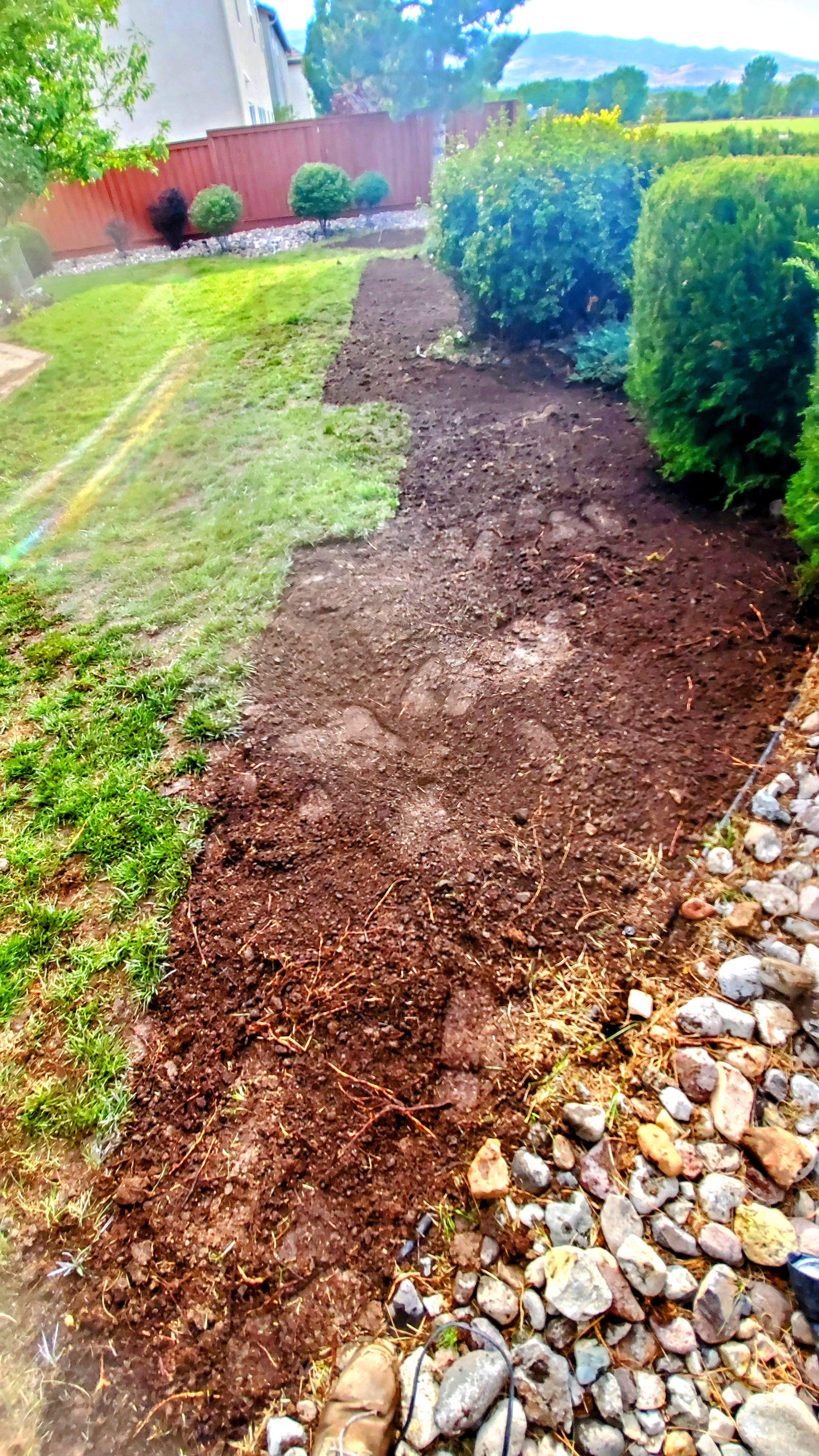 Before partial lawn sod installation